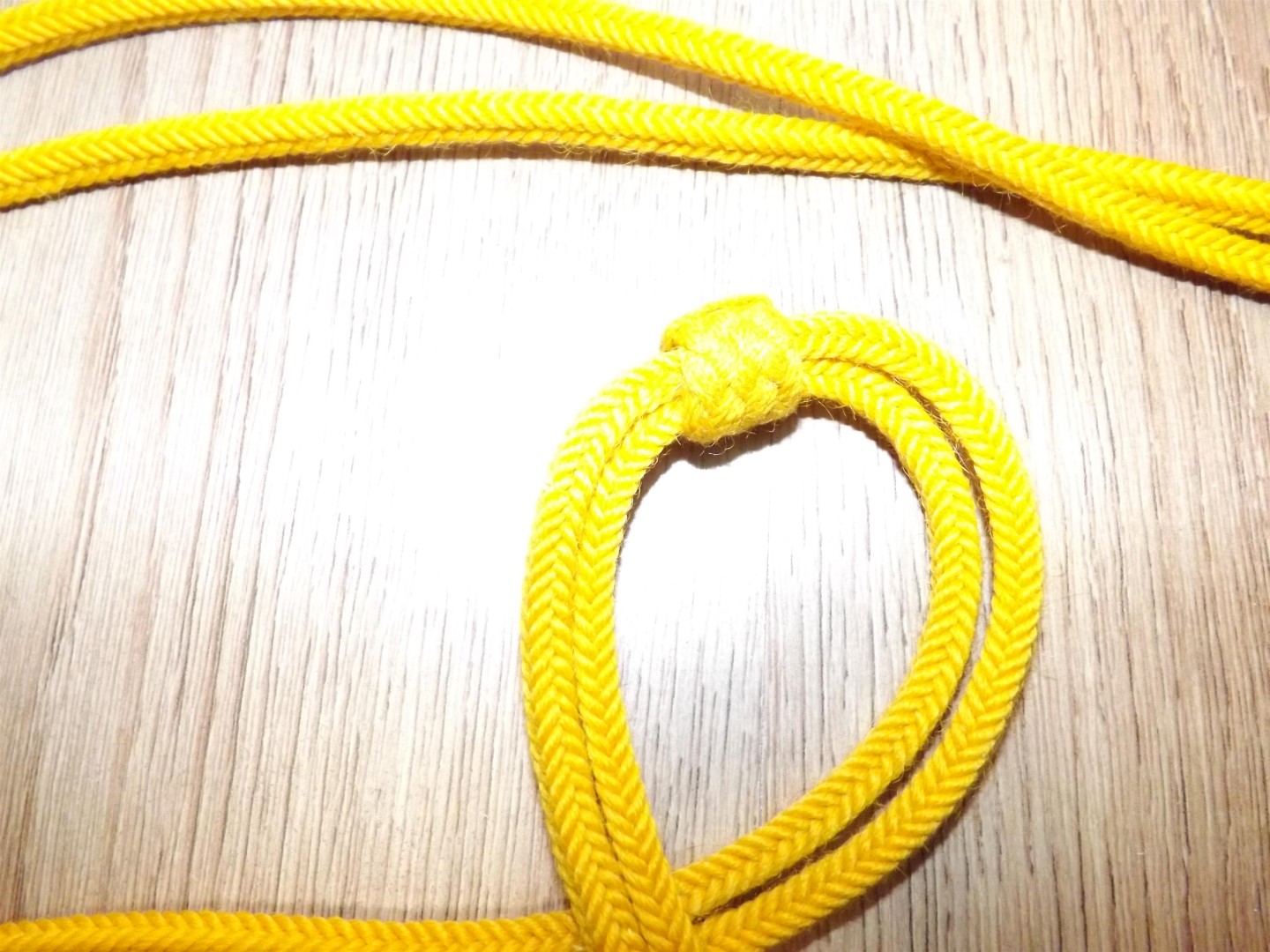 Busby cords RHA 006.JPG